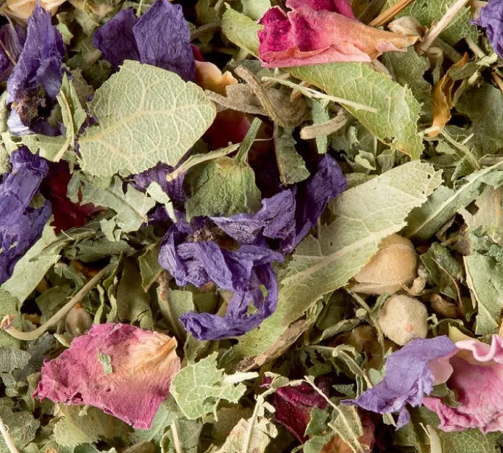 Boîte N°480 Tisane des Merveilles - Vrac 45 g - DAMMANN FRÈRES