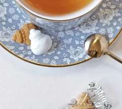 Boîte Sucre de Canne Blanc & Roux Style Petits Choux - x 51 sucres - CANASUC
