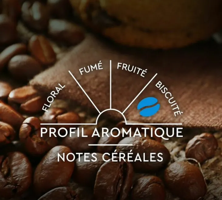 30 capsules compatibles Nespresso* Original Espresso Décaféiné - CARTE NOIRE