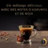 10 capsules compatibles Nespresso* Original Splendente - L'OR ESPRESSO