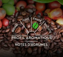 30 capsules compatibles Nespresso* Original - Espresso BIO - CARTE NOIRE