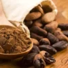 Chocolat Poudre Aromatisé Amande - Vrac 250 g - DOLFIN