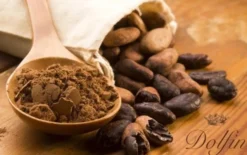 Chocolat Poudre Aromatisé Amande - Vrac 250 g - DOLFIN
