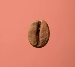 250 g - Café en grain - El Ronero - 1895 COFFEE DESIGNERS BY LAVAZZA