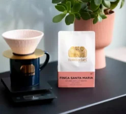 250 g - Café en grain - Finca Santa Maria - TERRES DE CAFÉ