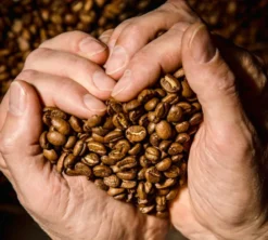 200 g - Café en grain - Honduras Pueblo Magico Bio - LAGRANGE