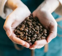 250 g - Café en grain - Mélange Dégustation 100% Arabica - BRÛLERIE DU CANTIN