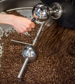 250 g - Café en grain - Mélange Dégustation 100% Arabica - BRÛLERIE DU CANTIN