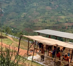 250 g - Café en grain - Rwanda Taba Bio - CAFE MOKXA