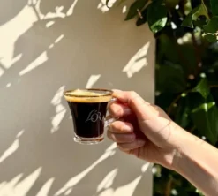 500 g - Café en grain - Terres d'Amazonie - L'OR