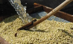 250 g - Café moulu - Éthiopie Moka Sidamo Marabou pour cafetière à piston - LUGAT