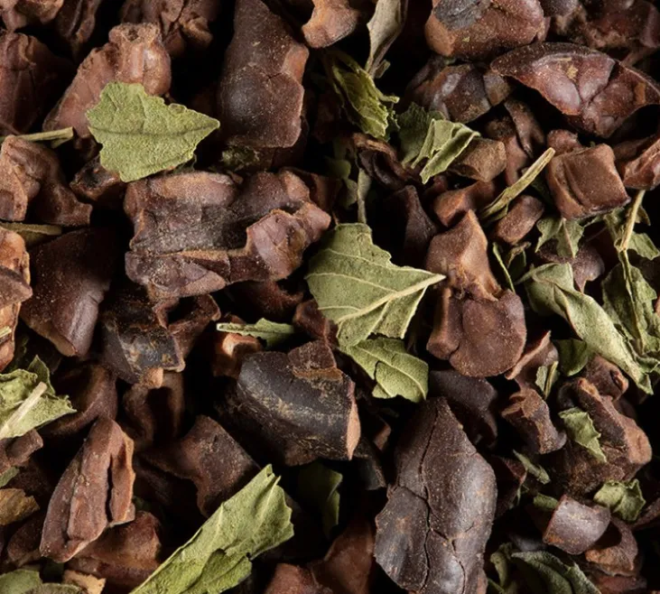 Infusion Cacao Menthe - Vrac 100 g - DAMMANN FRÈRES