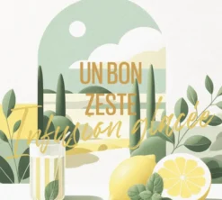 Infusion glacée bio Un bon zeste - Vrac 75 g - GEORGE CANNON