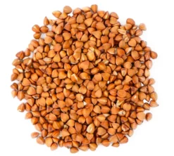 Infusion Régal de Sobacha Bio - Vrac 100 g - COMPTOIR FRANÇAIS DU THÉ