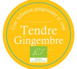 Infusion Tendre Gingembre Bio - Vrac 100 g - COMPTOIR FRANÇAIS DU THÉ