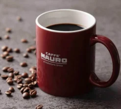 1 kg - Café en grain - Centopercento 100% Arabica - CAFFÈ MAURO