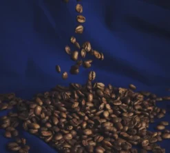 1 kg - Café en grain - Intenso Blend - LUGAT
