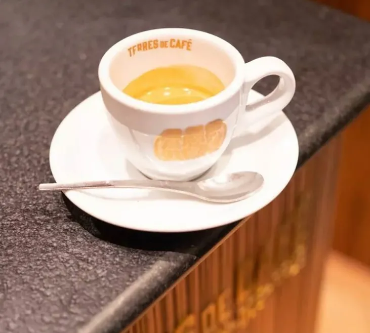 1 kg - Café en grain - Organic Expresso Blend Bio - TERRES DE CAFÉ