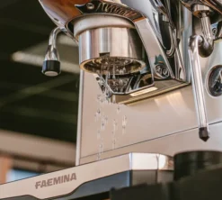 Machine expresso FAEMA Faemina blanc/anodisé clair