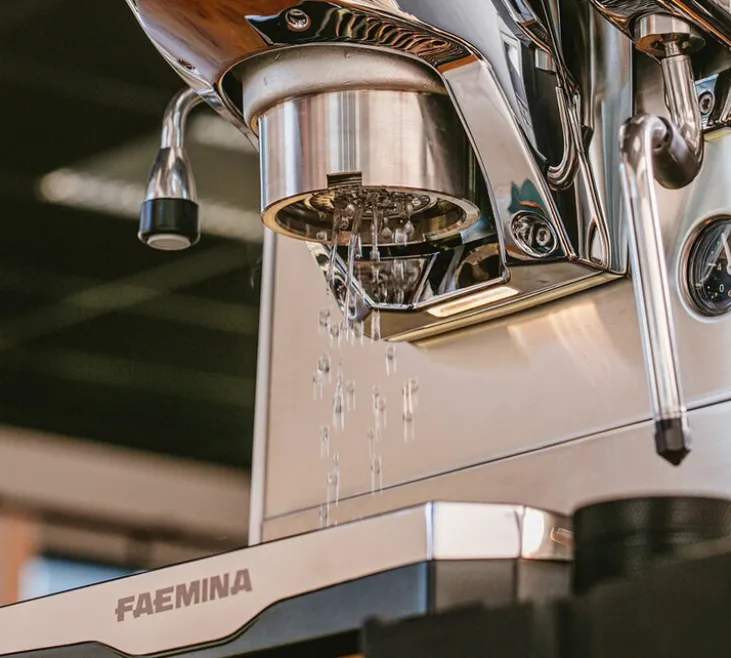 Machine expresso FAEMA Faemina blanc/anodisé clair