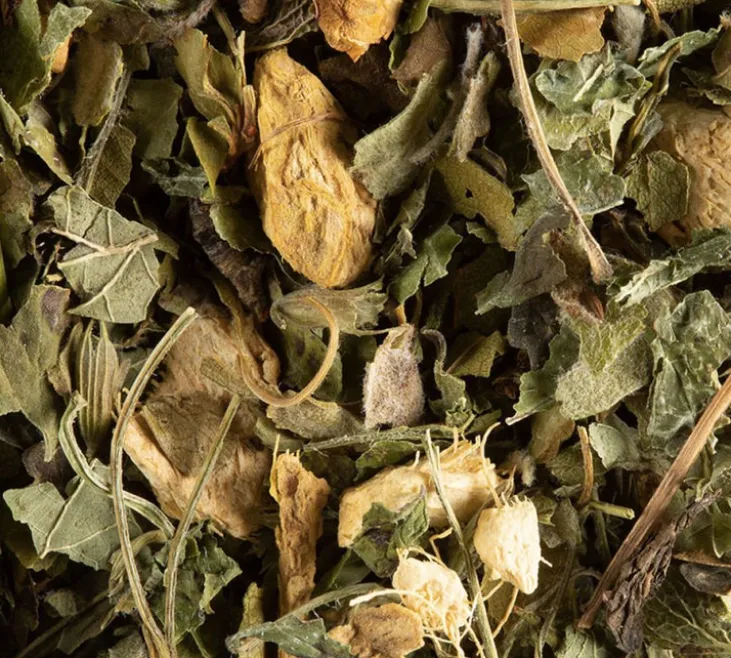 Magic Ginger Tisane Gingembre Citron Miel - Vrac 100 g - DAMMANN FRÈRES