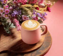2 Mugs PYLANO Terra Brique - 33 cl