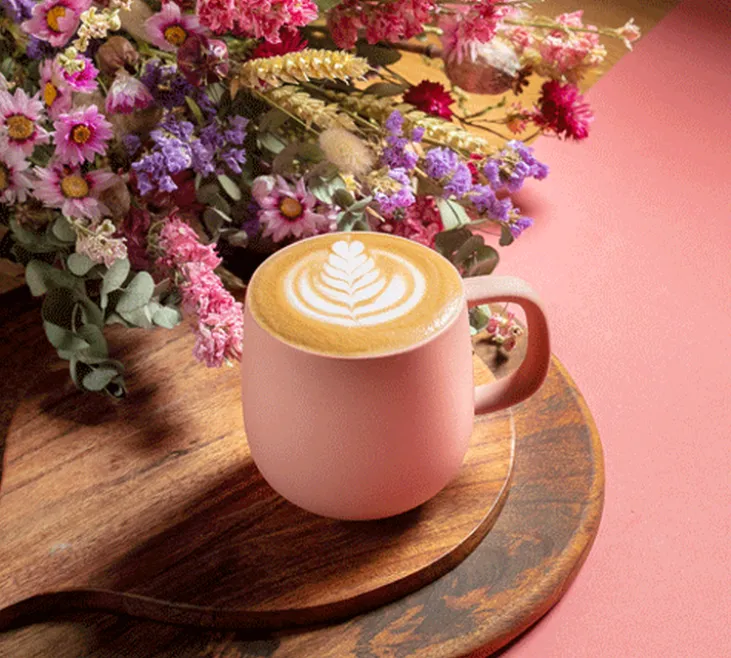 Mug Terra Brique 33 cl - PYLANO