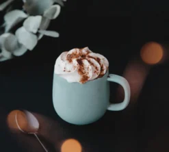 Mug Terra Brique + Mug Terra Sauge- 33 cl - PYLANO