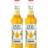 Pure by MONIN - Mangue et Passion - 2x70 cl