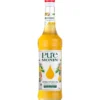 Pure by MONIN - Mangue et Passion - 70 cl