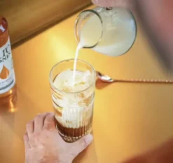 Pure by MONIN - Pêche et Abricot - 70 cl