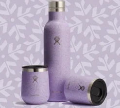 Set bouteille à vin 75 cl et verres 2 x 29cl - HYDRO FLASK