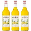 Sirop Monin - Citron - 2 x 1 L
