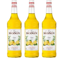 Sirop Monin - Citron - 2 x 1 L