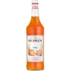 Sirop Monin - Orange - 1L