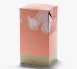 Thé Glacé Pêche - 6 sachets - DAMMANN FRÈRES