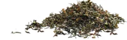 Thé Vert du Sri Lanka Bio & Equitable - 20 sachets - Terra Etica