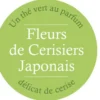 Thé Vert Fleurs de Cerisiers Japonais - Vrac 100 g - COMPTOIR FRANÇAIS DU THÉ