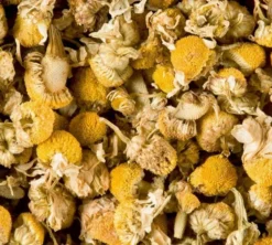 Tisane Camomille - Vrac 100 g - DAMMANN FRÈRES