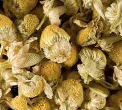 Tisane Camomille - Vrac 100 g - DAMMANN FRÈRES