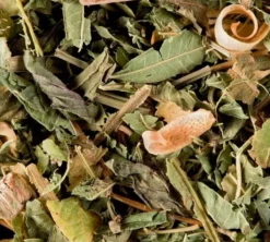 Tisane du Berger - Vrac 100 g - DAMMANN FRÈRES