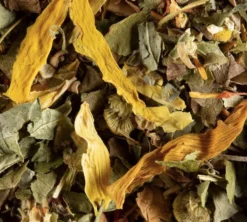 Tisane Fruits Éxotiques - Vrac 100 g - DAMMANN FRÈRES
