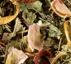 Tisane Nuit à Versailles - Vrac 100 g - DAMMANN FRÈRES
