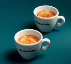 2 x 250 g - Café en grain - The Full Monkeys - TERRES DE CAFÉ & MAXICOFFEE