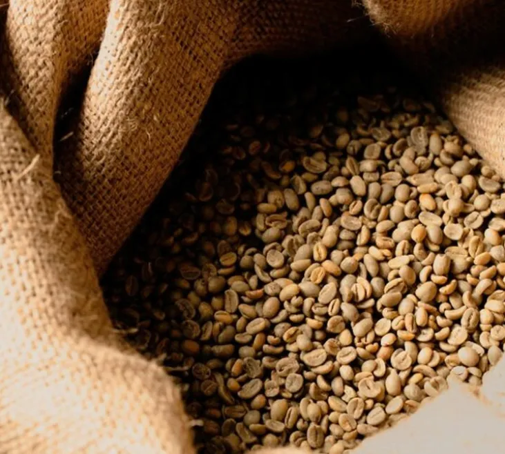 2x500g - Café vert Brésil région Minas Gerais nature