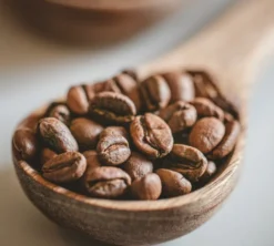2 x 1 kg - Café en grain - Décaféiné Bio 100% Arabica - OQUENDO