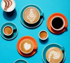 2 x 1 kg - Café en grain - Purissima - PERLÉO